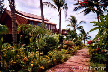 Coconut Laguna 18